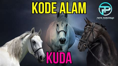 kuda 2d 3d 4d.